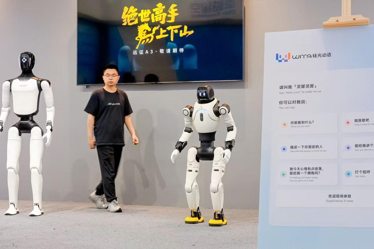 人形机器人从原型走向普及，要跨过一道巨大鸿沟，那就是从标准化测试环境，走向充满变