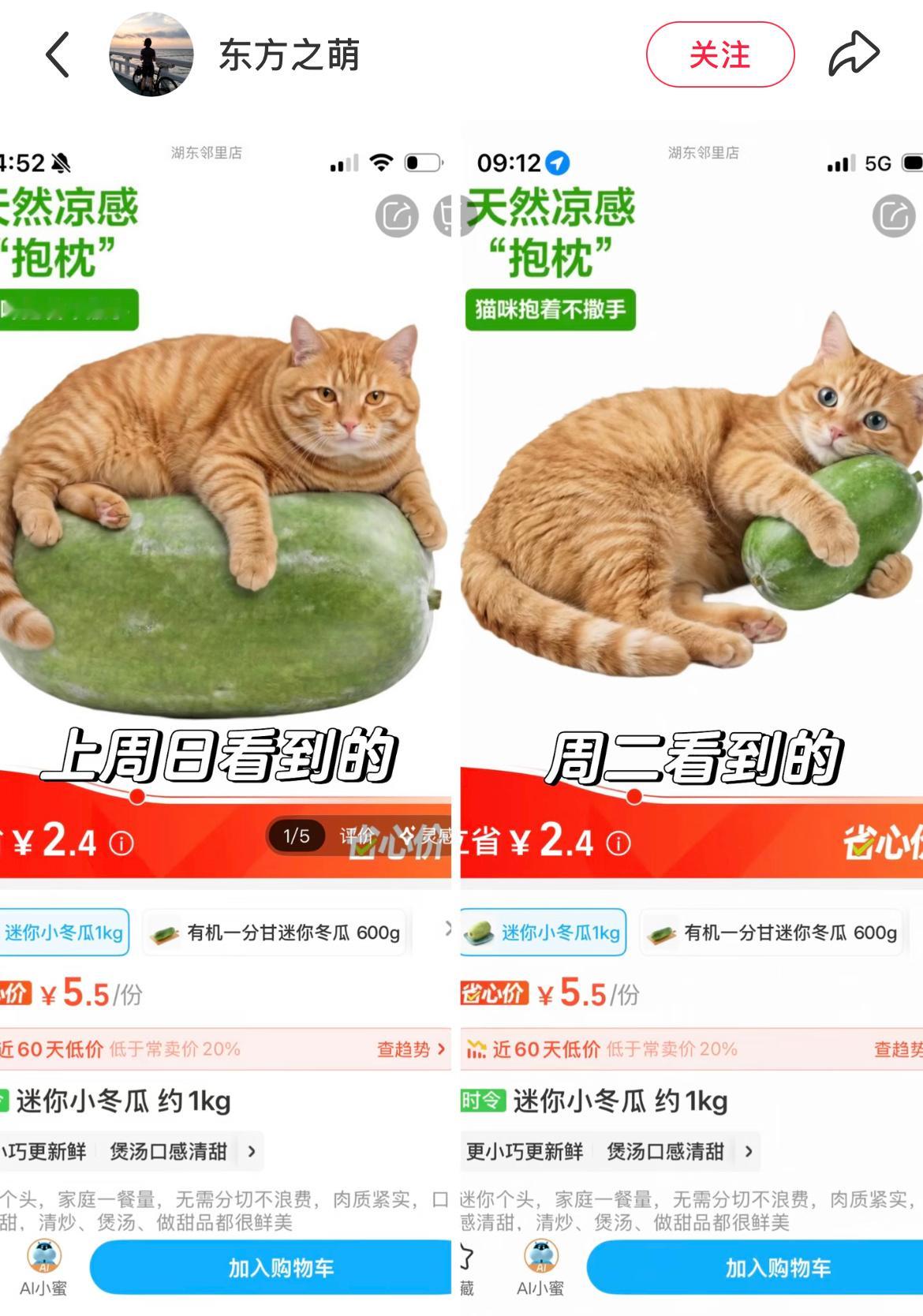 盒马因受害咪连夜改冬瓜图到底是换了瓜还是换了咪另外，这个冬瓜真的降温嘛？考虑要不