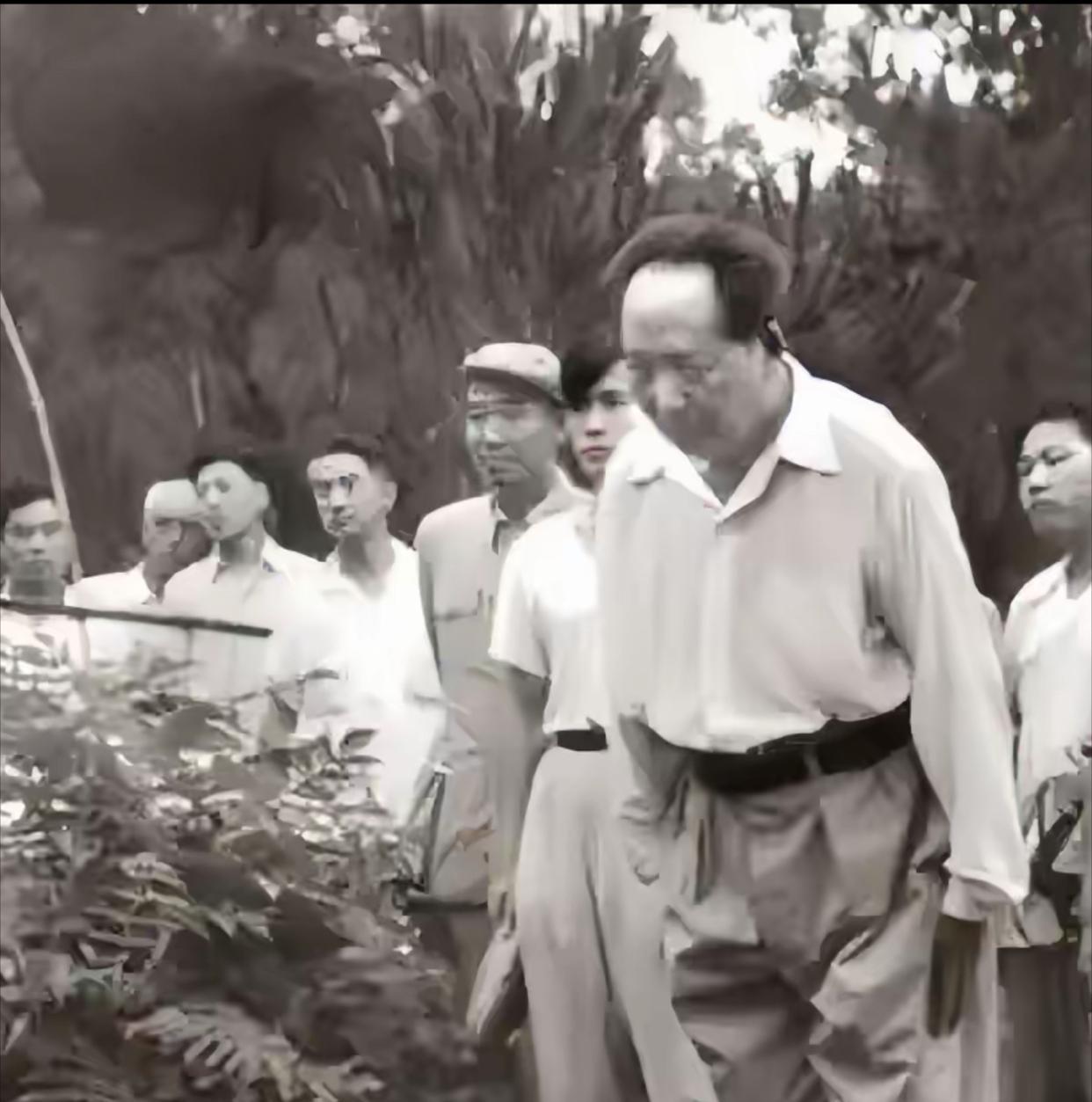 伟人回到韶山，站在父母坟前说：就我一人来了。润莲死在新疆，润菊埋在江西，开慧死在