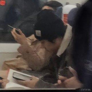偶遇纪凌尘高铁假装看书 震惊!纪凌尘高铁上被曝假装看书,引发网友热议，也有可能只