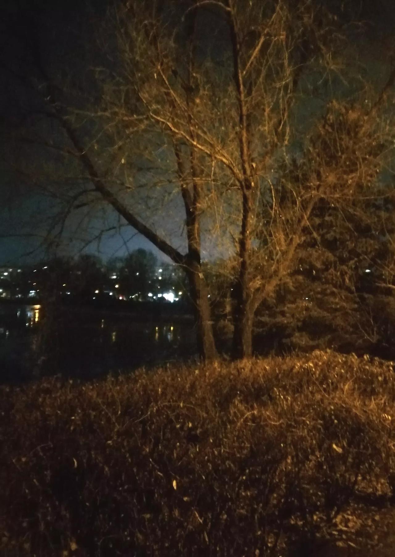 分享一张夜景照片看看