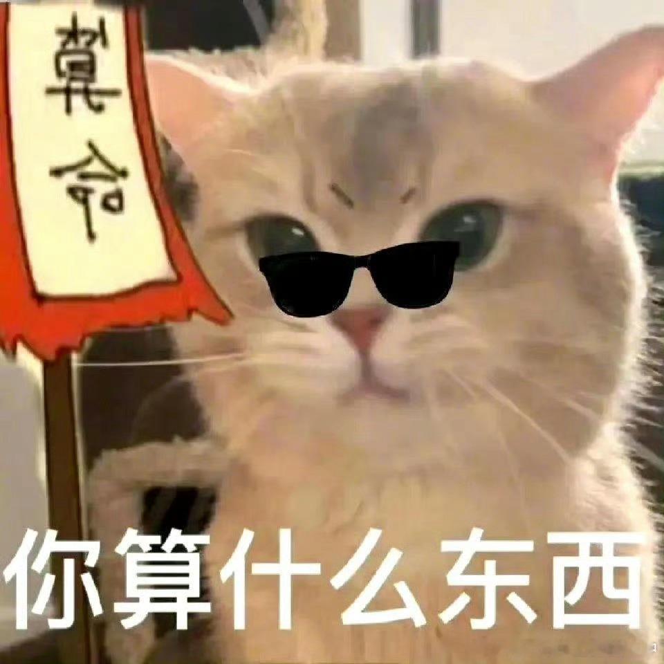 置顶🔝哈哈哈 