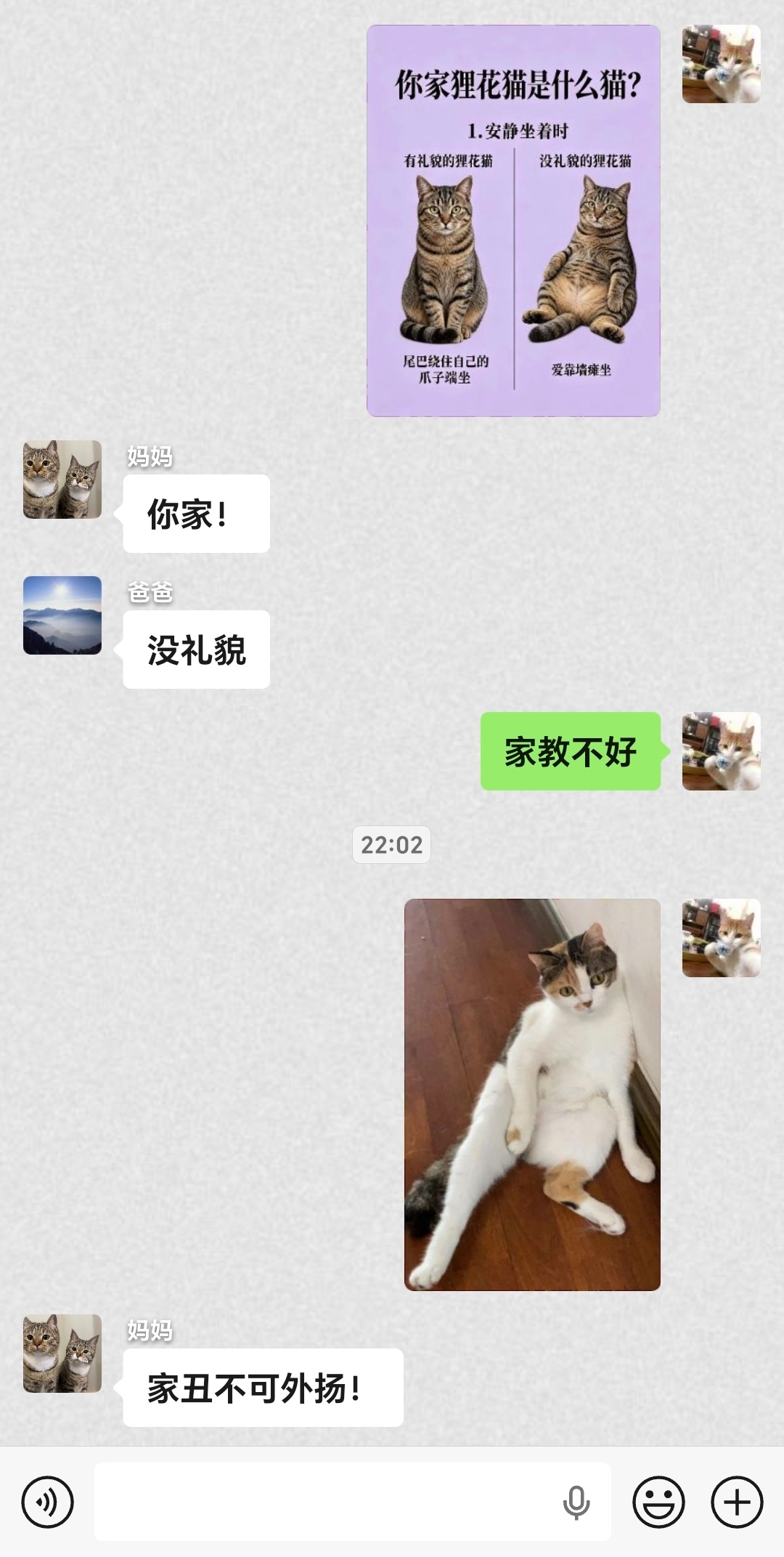家猫的风评就这样 