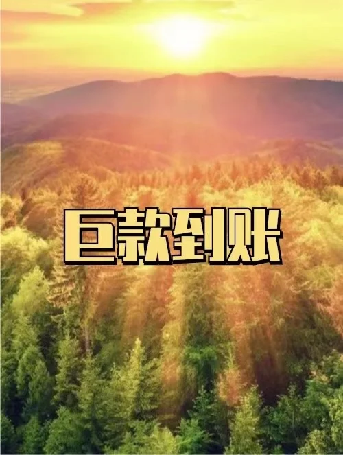八月巨款到账