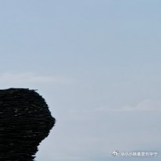 就发发图片 ​​​