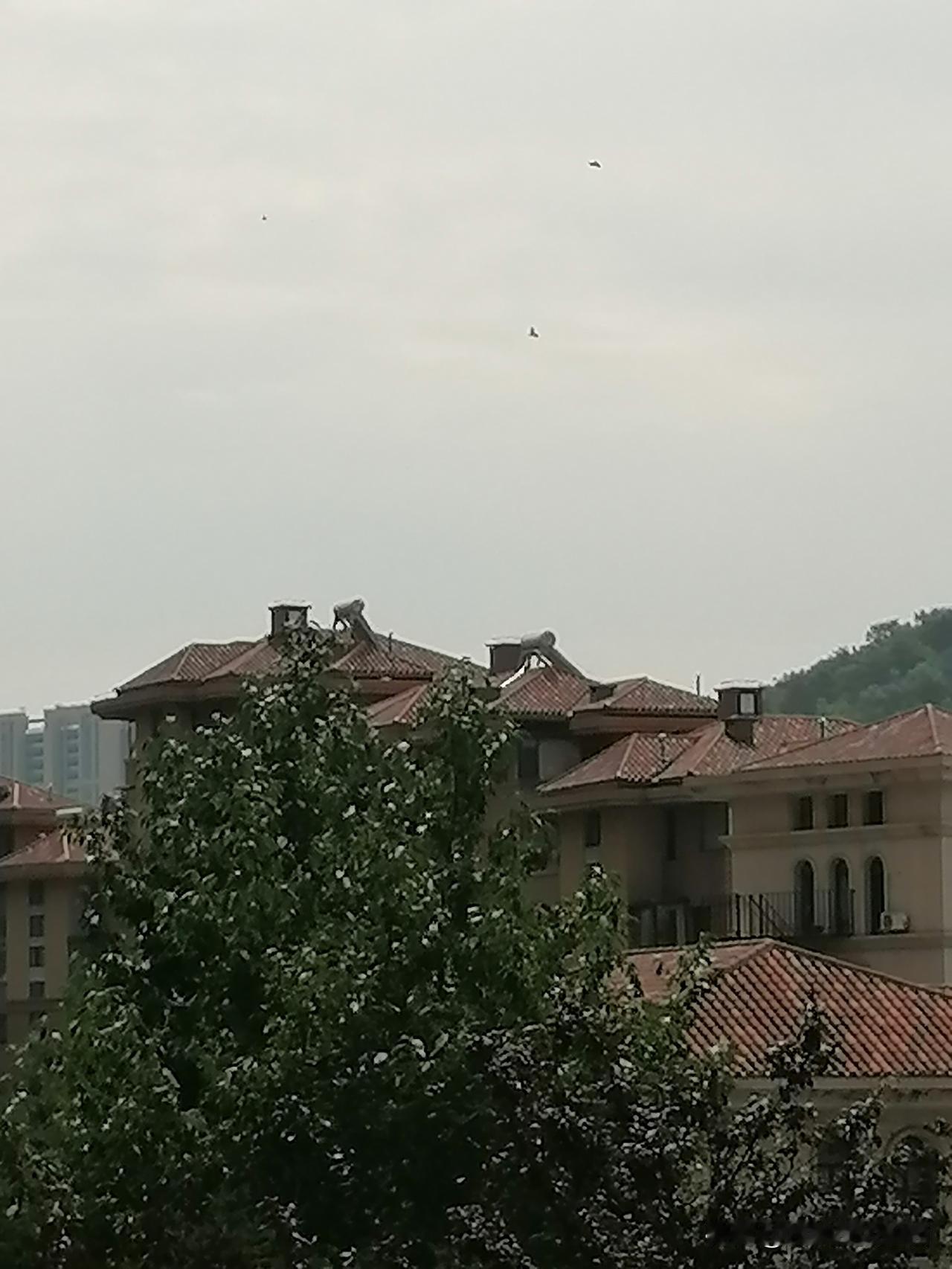 今日的天空时阴时晴，云层沉淀，云卷云舒，不停的变换着自己魅力的身姿。让人看的眼花