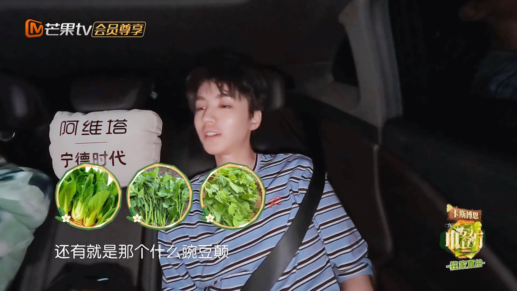 这一集他们真是给我聊出了一种巨大的南北差异感，老公说的小时候最经常吃的瓢儿白、藤