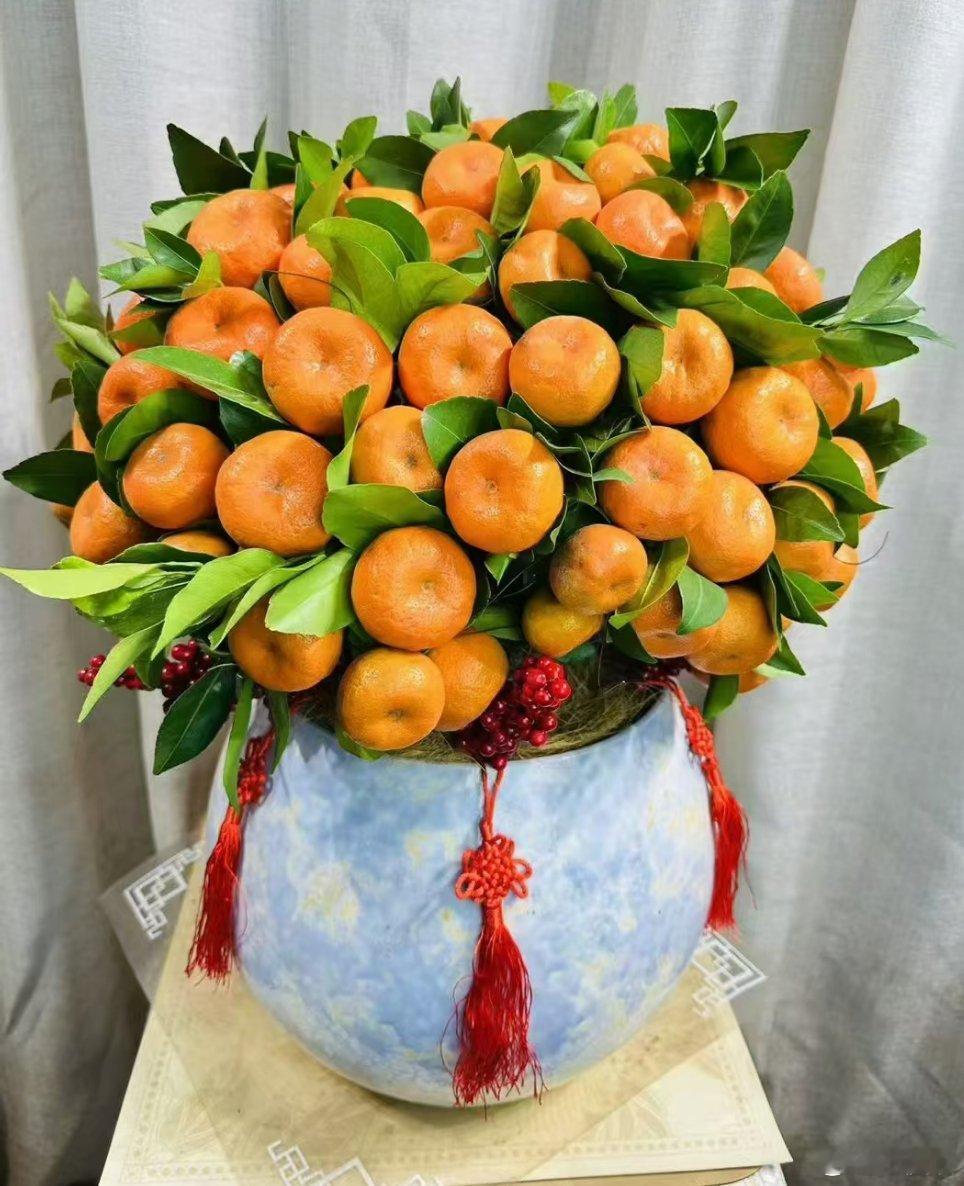 阳光信用 每日一善  乐观和爱才是生活的解药🥣心里装着美好，眼里的世界就美好成