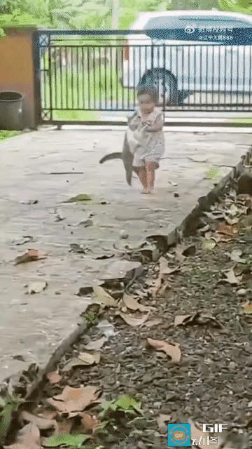 为什么猫在小孩手里完全被驯服？而如果大人这么摆弄猫，早被抓挠了