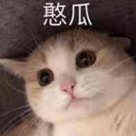 秀妮小五，有啥想要我带的标签可以评论区提醒我我不玩超话，如果有需要，想让我帮带点