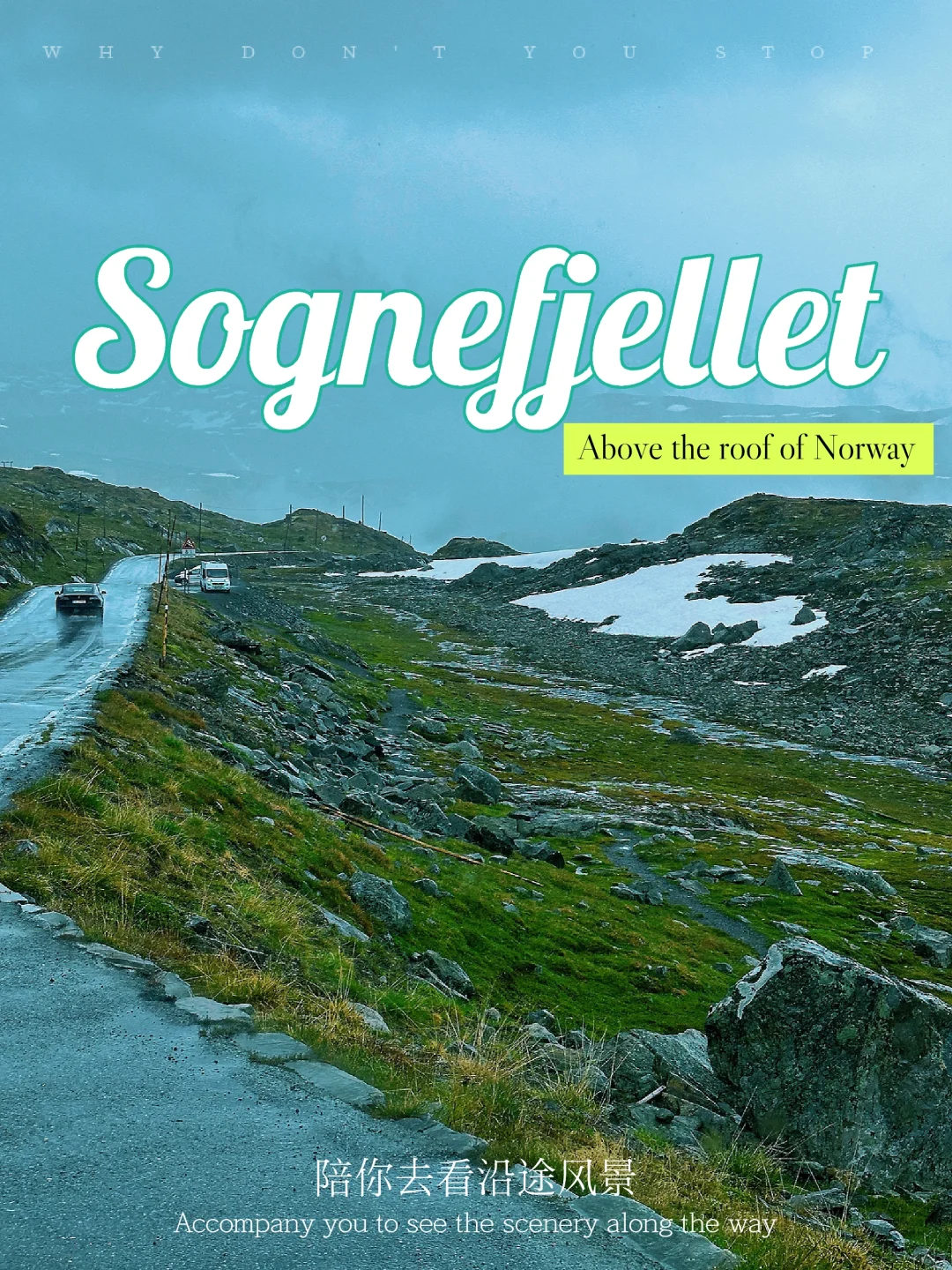 挪威｜🇳🇴屋脊之路 松恩山路