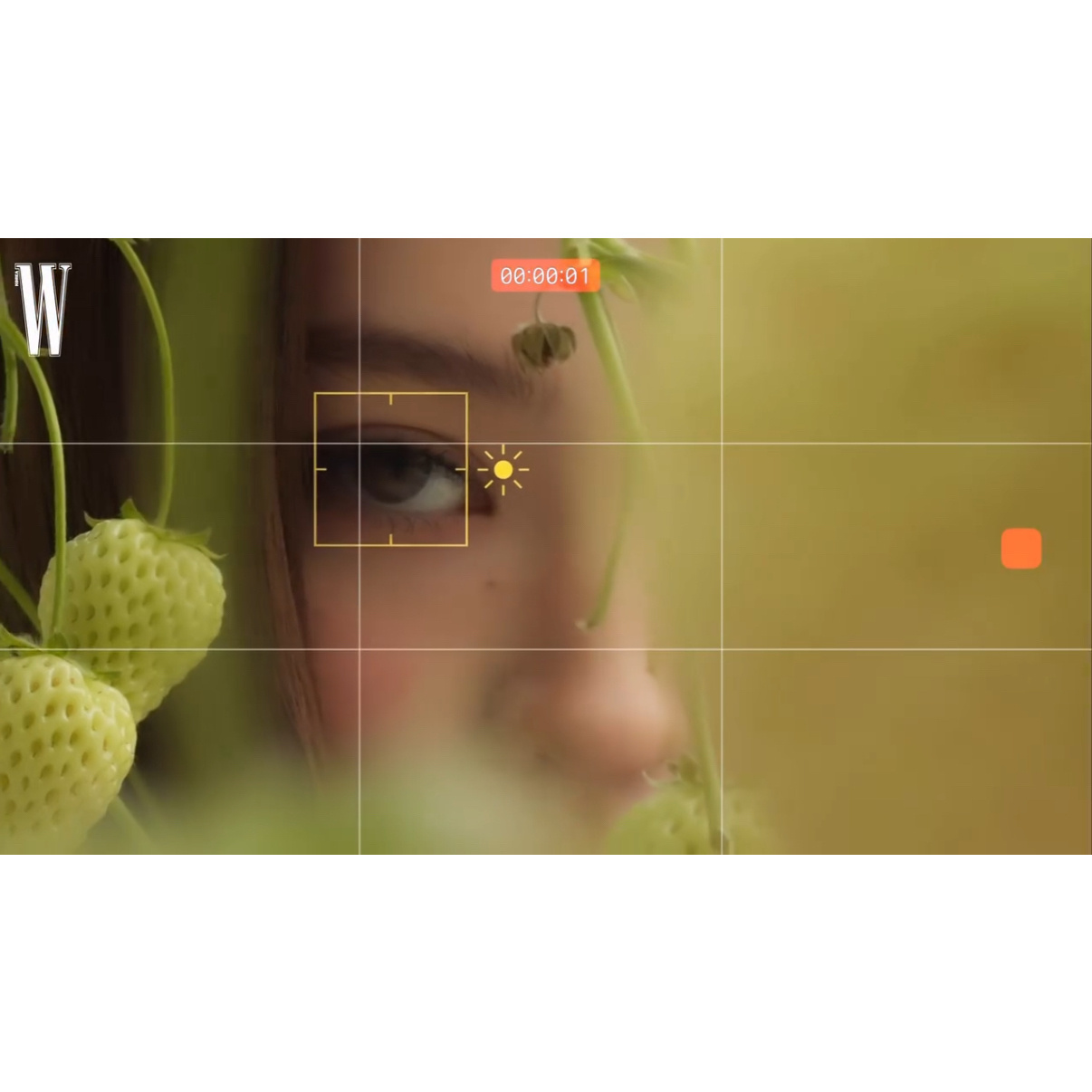 少女的盛夏之恋酸甜的 让人迷恋的Ella Gross x MiuMiu x W 