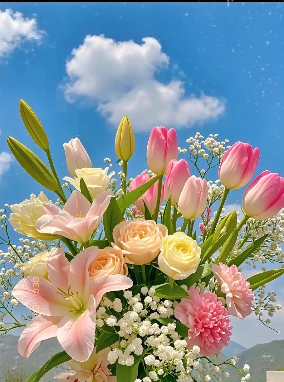 这些年的变化，哪里只是发际线后移、记性变差那么简单？真正的蜕变，是终于敢撕掉“老