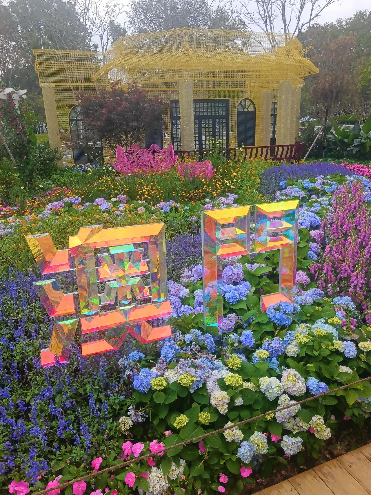 分享最美的花朵美景