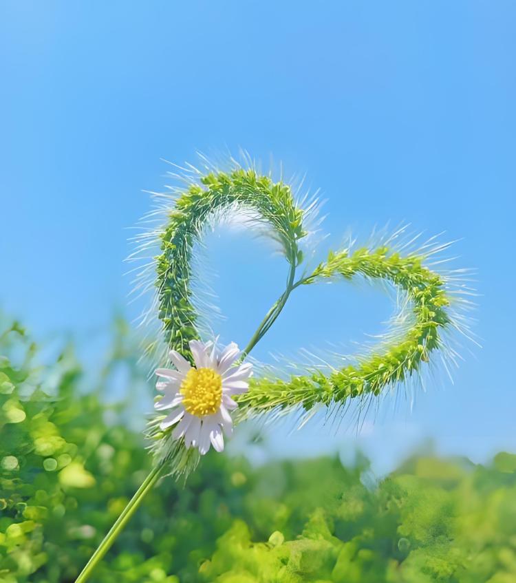 听过一位心理学家最精辟的总结：给一个女人（男人）20次机会，不如给20个女人（男