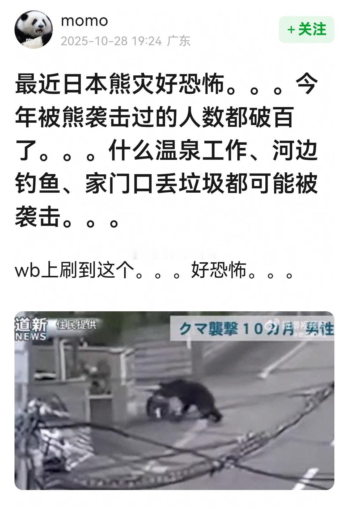 最近日本熊灾好恐怖~😱😱 ​​​