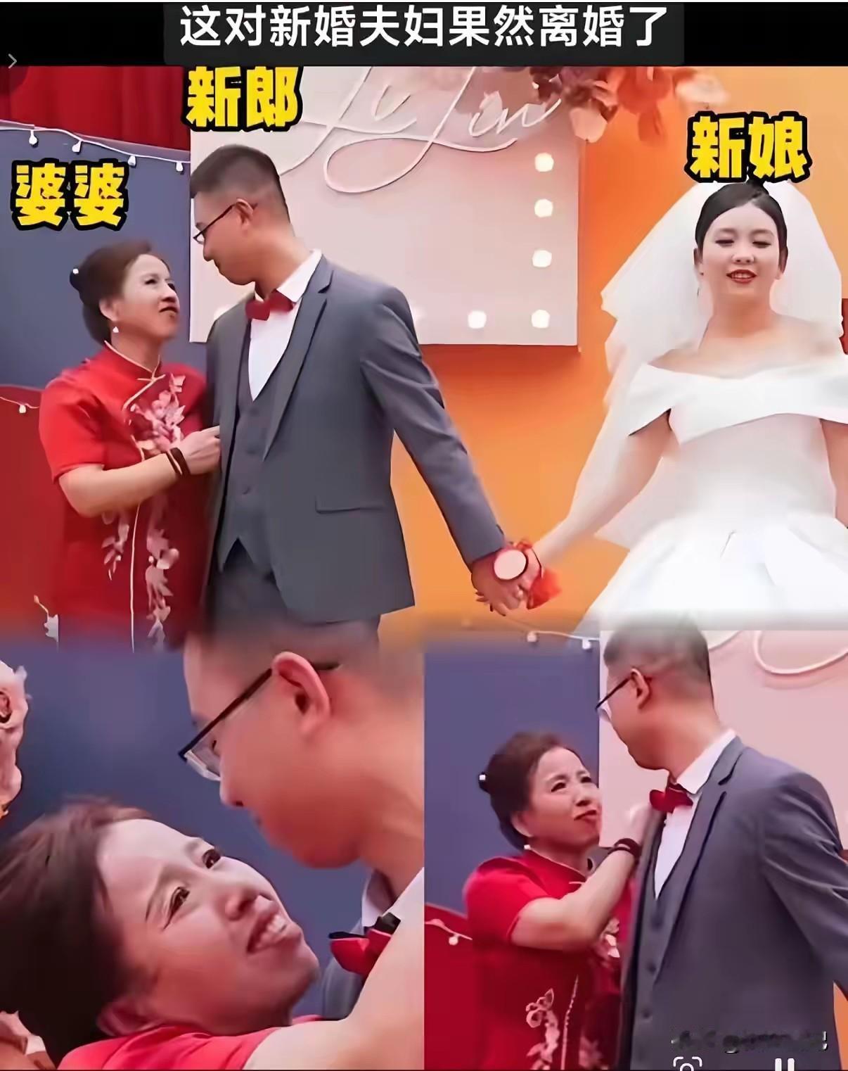 果然离婚了
得体地退出，是母亲给儿子最好的结婚礼物

儿子结婚了，母亲心里五味杂