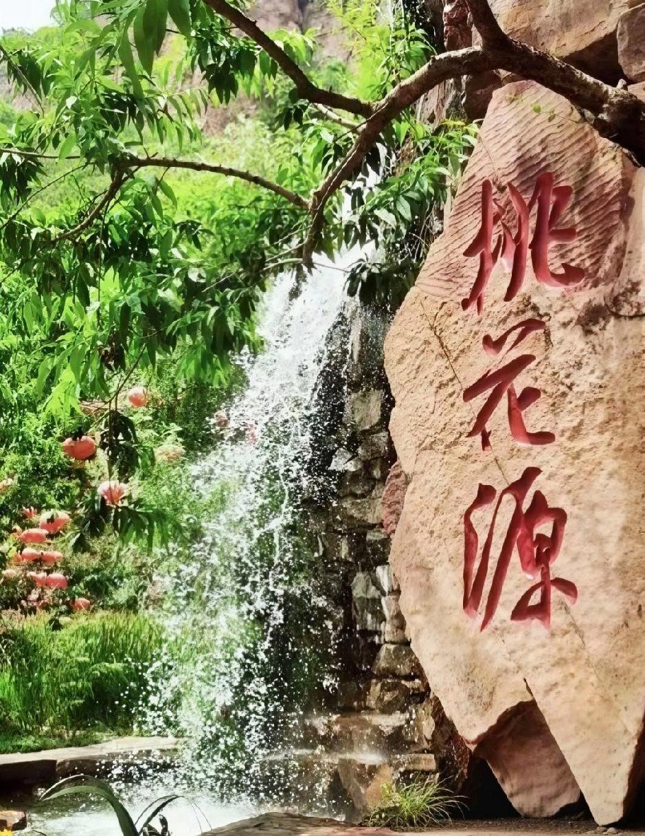 五个吃饭小技巧，舒服又健康
 
1. 吃饭别着急，
一口嚼够15下再咽，
胃里少