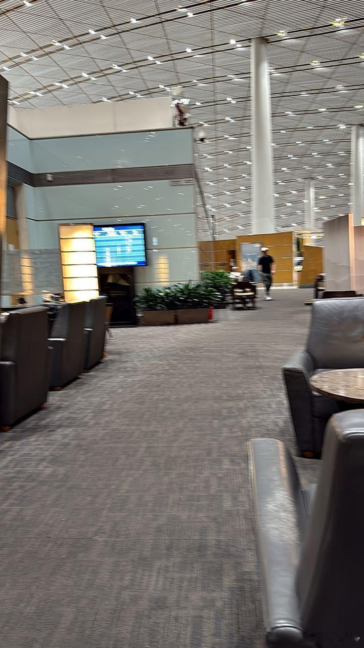 一生温暖纯良   不舍爱与自由 北京·北京首都国际机场
