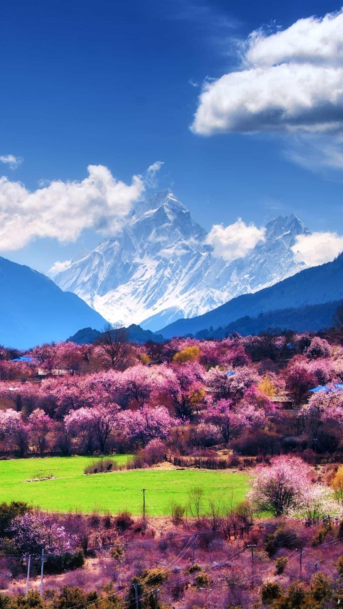 生活手记读书古文观止张益州画像记（二）苏洵【原文】眉阳苏洵言于众曰：“未乱，易治