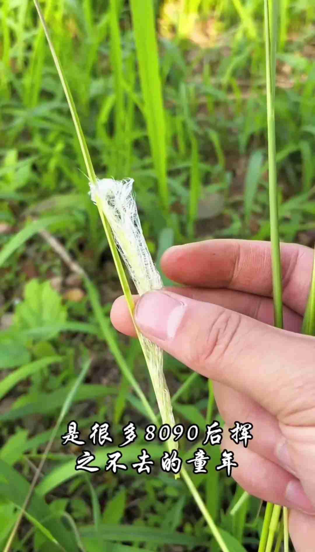 我的今日状态：😁轻松愉快
我这里的天气：☀️晴天
