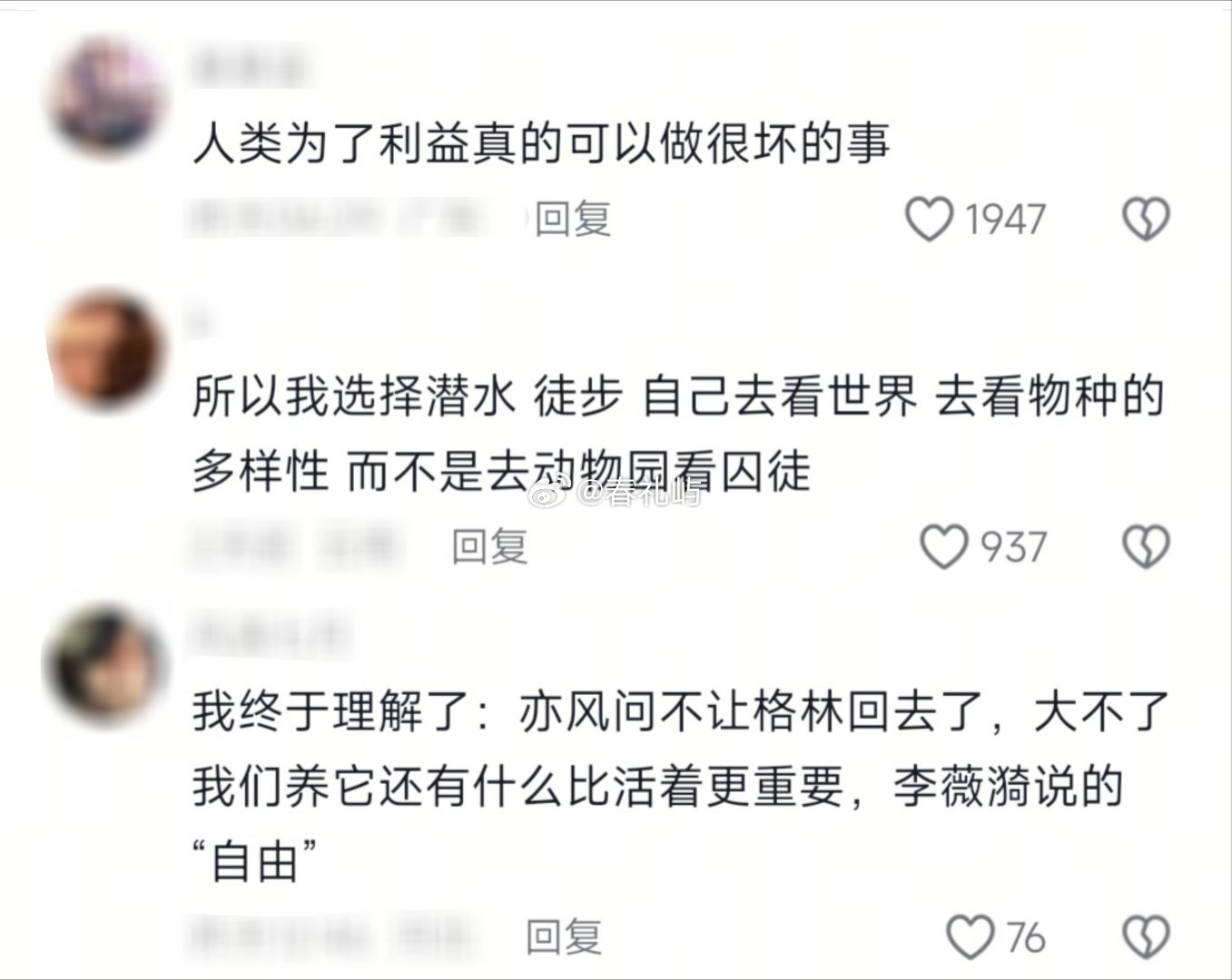 “这个词很重”它不愿再拥抱世间，于是亲手掐断了自己的呼吸。 