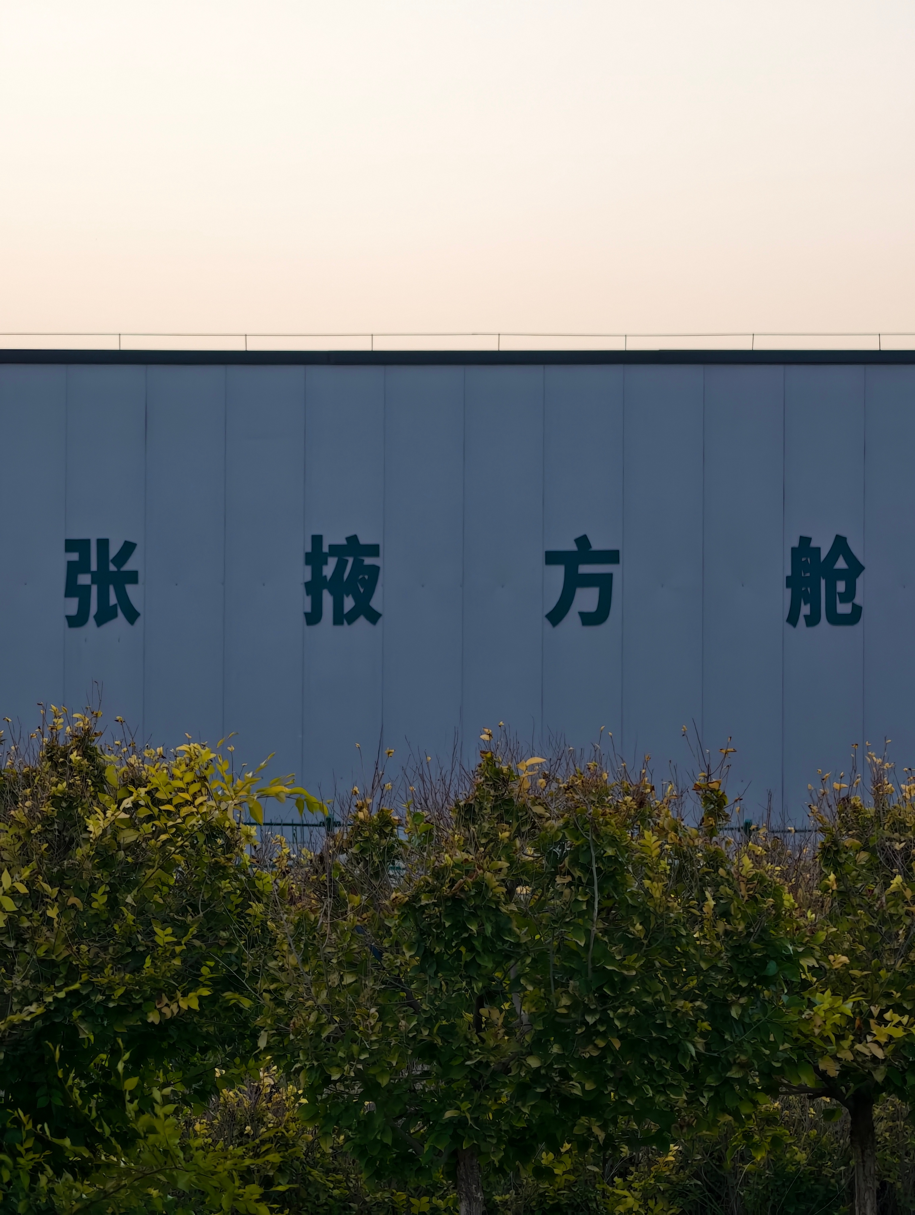 那一段痛苦而又魔幻的记忆[淡淡的]  ​​​