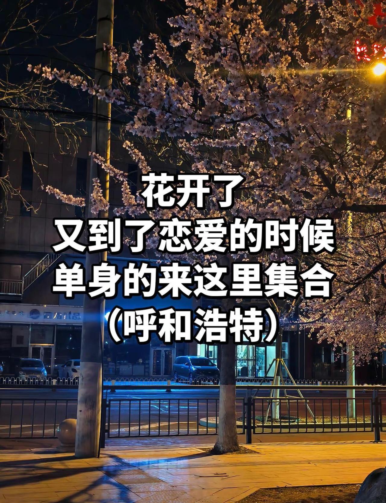 呼和浩特脱单交友同城抖音热门推广