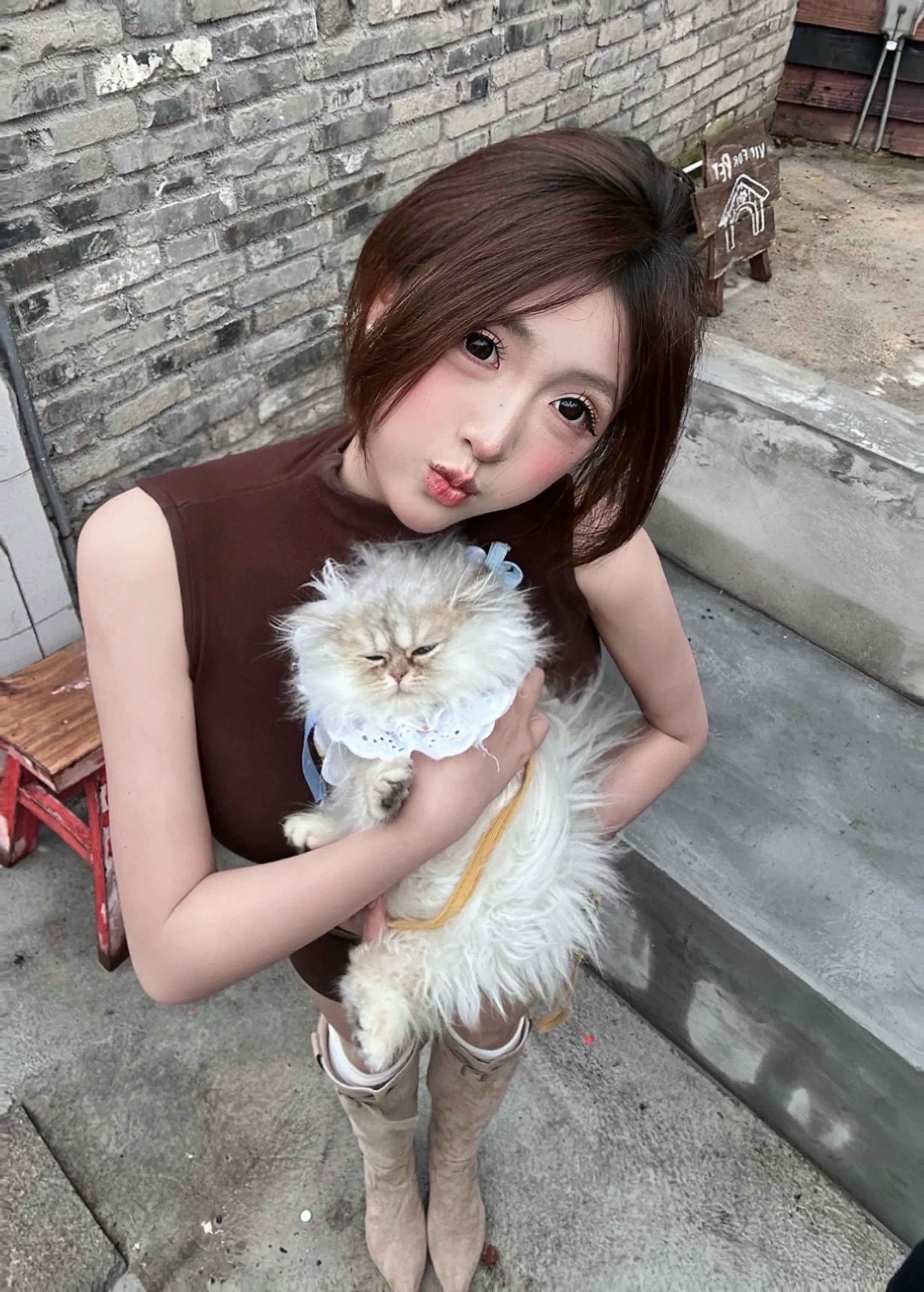 🐈🐈‍⬛喵。