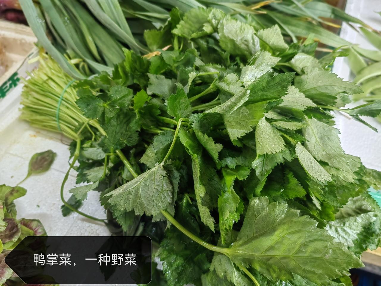 【原创】
来，看看皖南黟县菜市场那些目不暇接的野菜蔬菜们吧，看吃过几个……