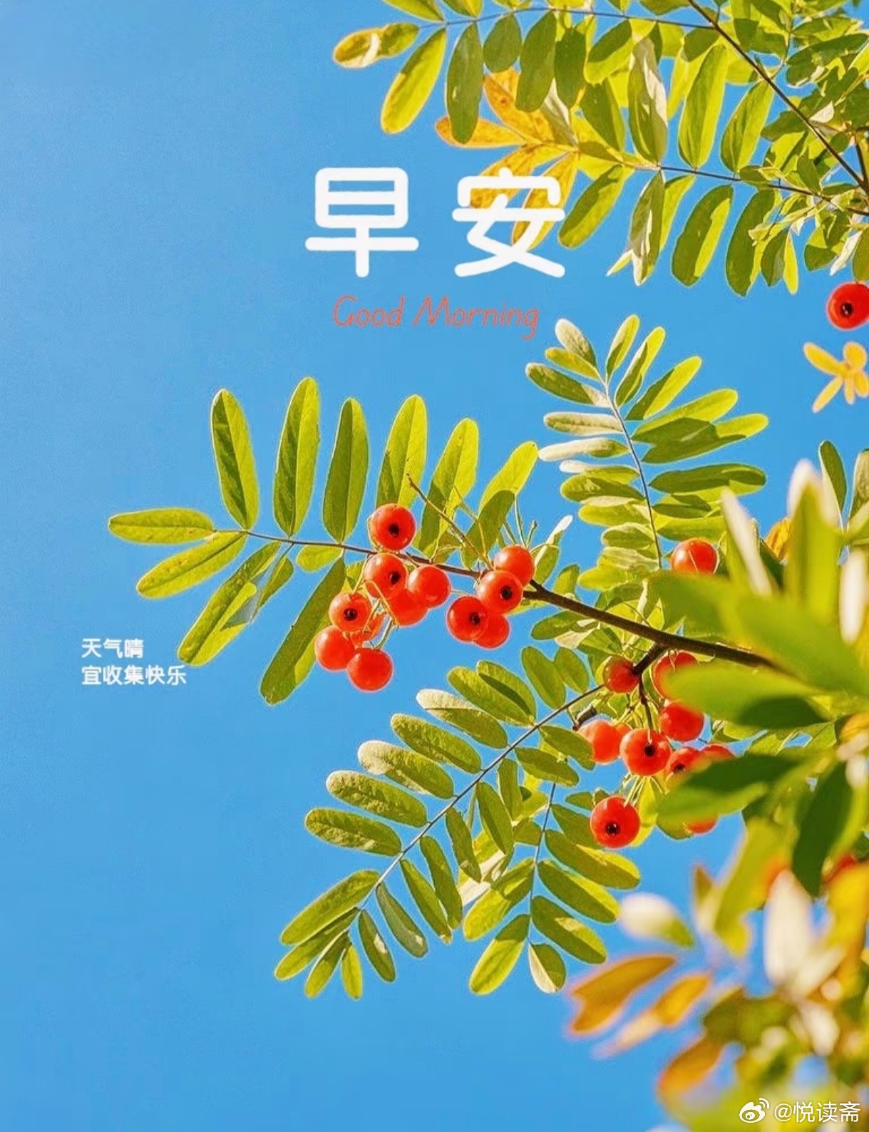 🌤早安。生活最好的状态：有事做，有人爱，有所期待。不必追赶别人的节奏，慢慢走，