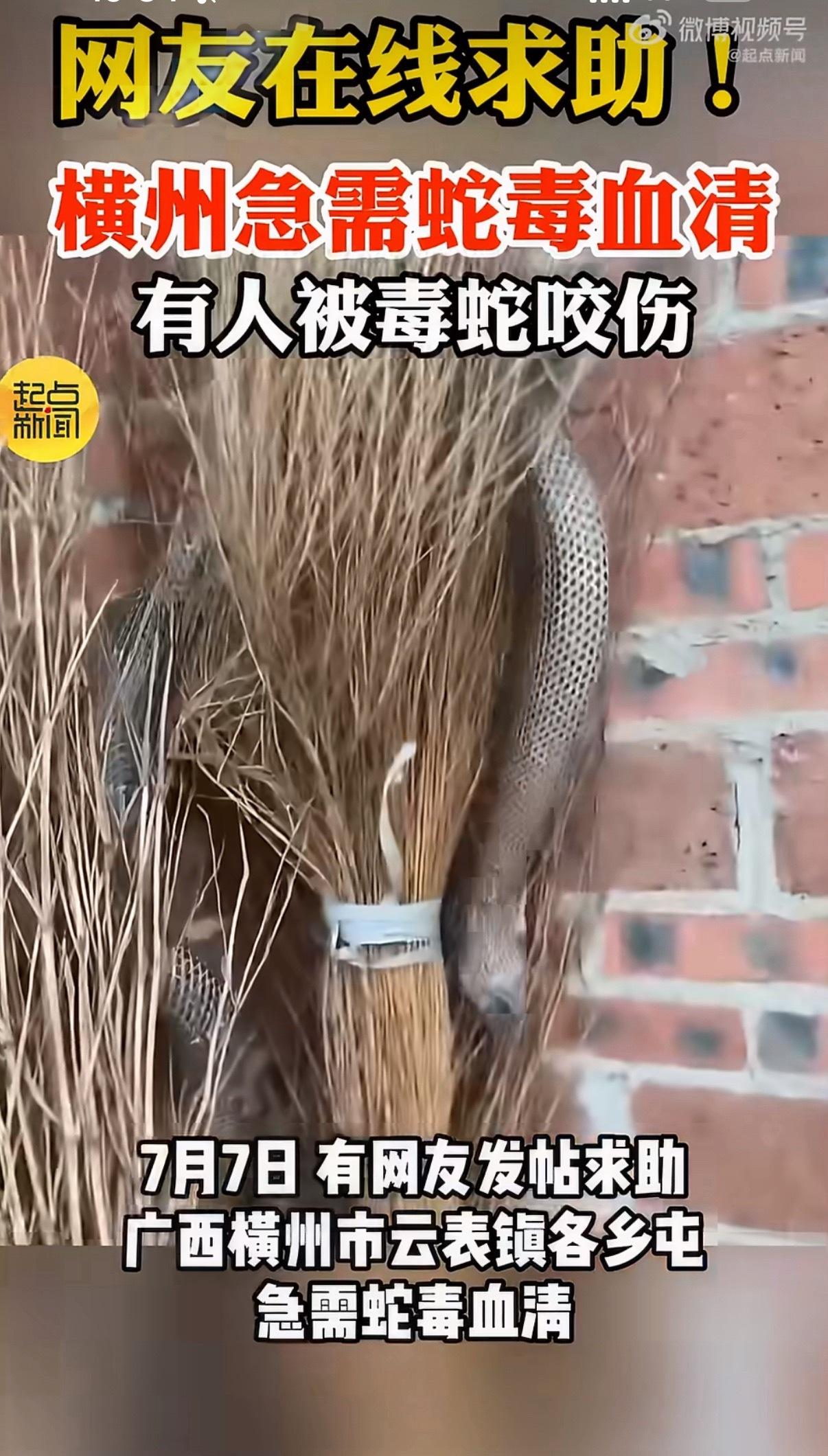 洪水致养蛇场蛇逃出有眼镜蛇 天呐，已经有人被蛇咬了，广西的朋友们挺住啊横州急需蛇