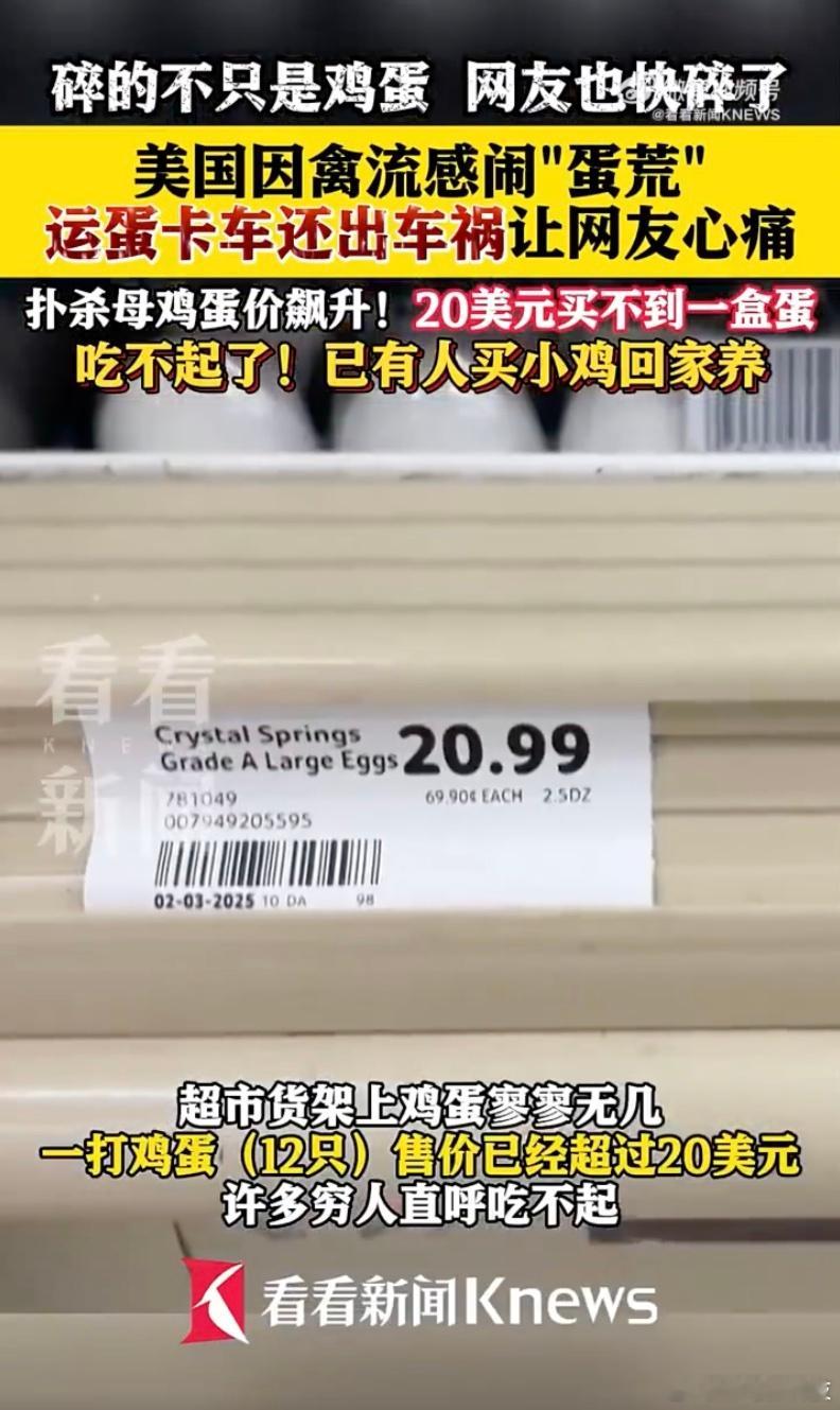 美国鸡蛋20美元一打有人开始养鸡  都是禽流感闹的……有人说，这不吃鸡蛋不就成了