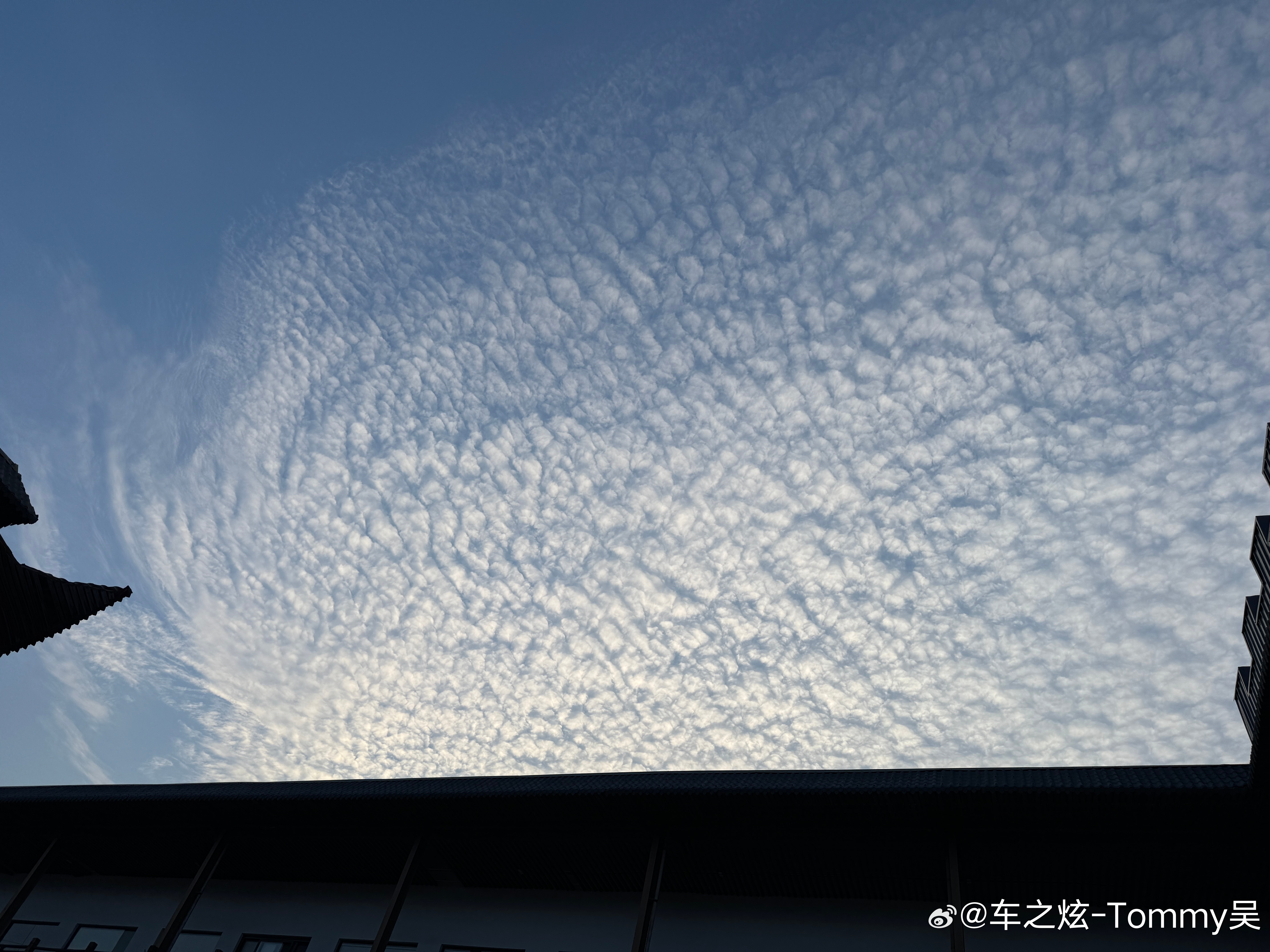 绵羊🐑☁️云#车之炫##福州#  ​​​