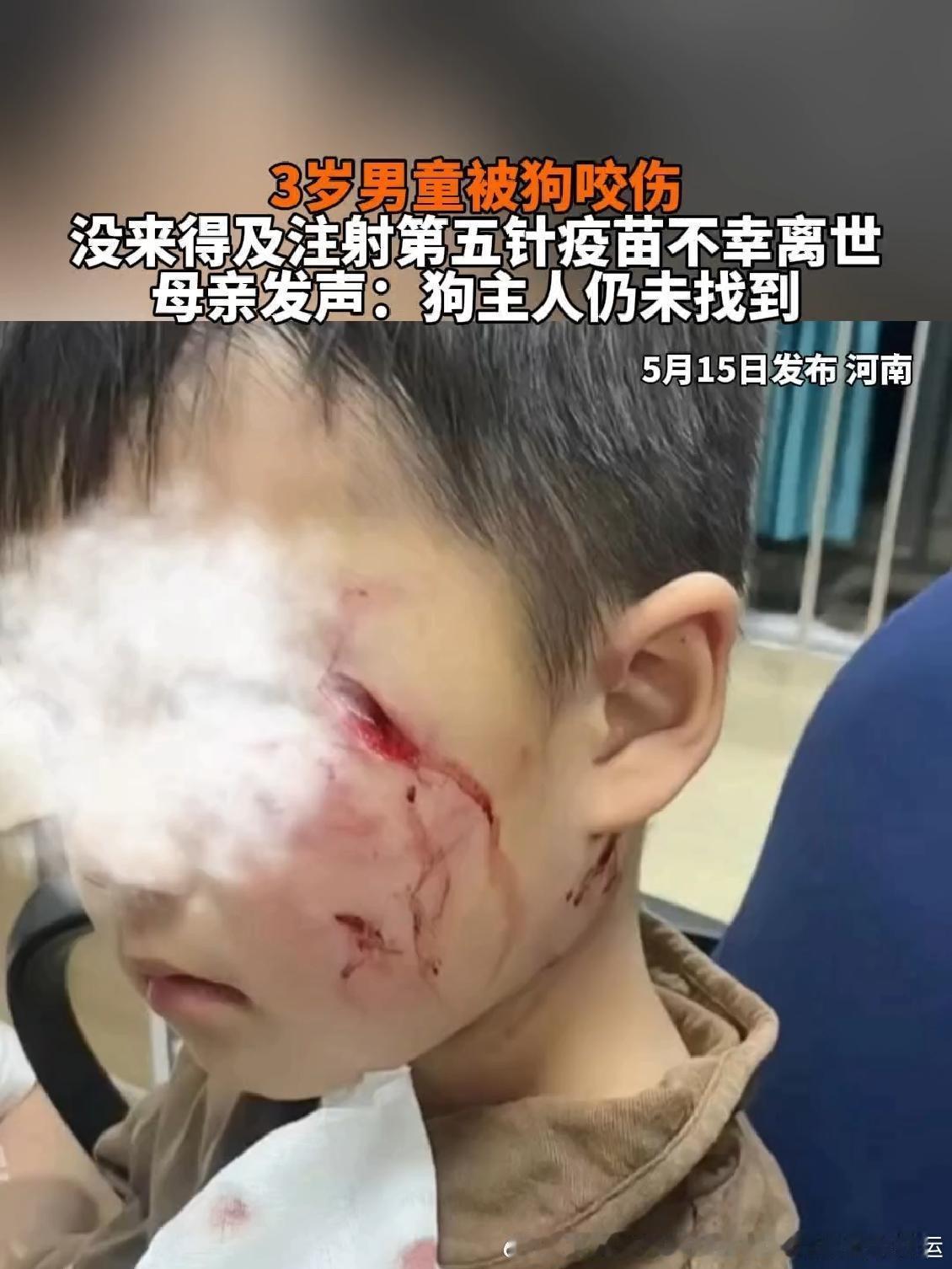 问一下，为什么有些企业以及娱乐艺人们，喜欢给流浪狗发声，甚至为了流浪狗搞基金会，