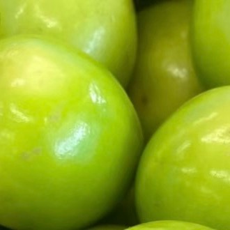 0000青枣的种植方法一、选择合适的品种青枣类型多样，各自有不同的口味、产量和形