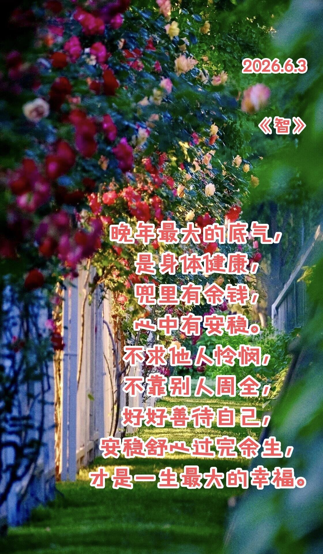 一、健康的身体，一切的根基
 
年纪越大越明白，钱财、儿女都抵不上一副硬朗身子。