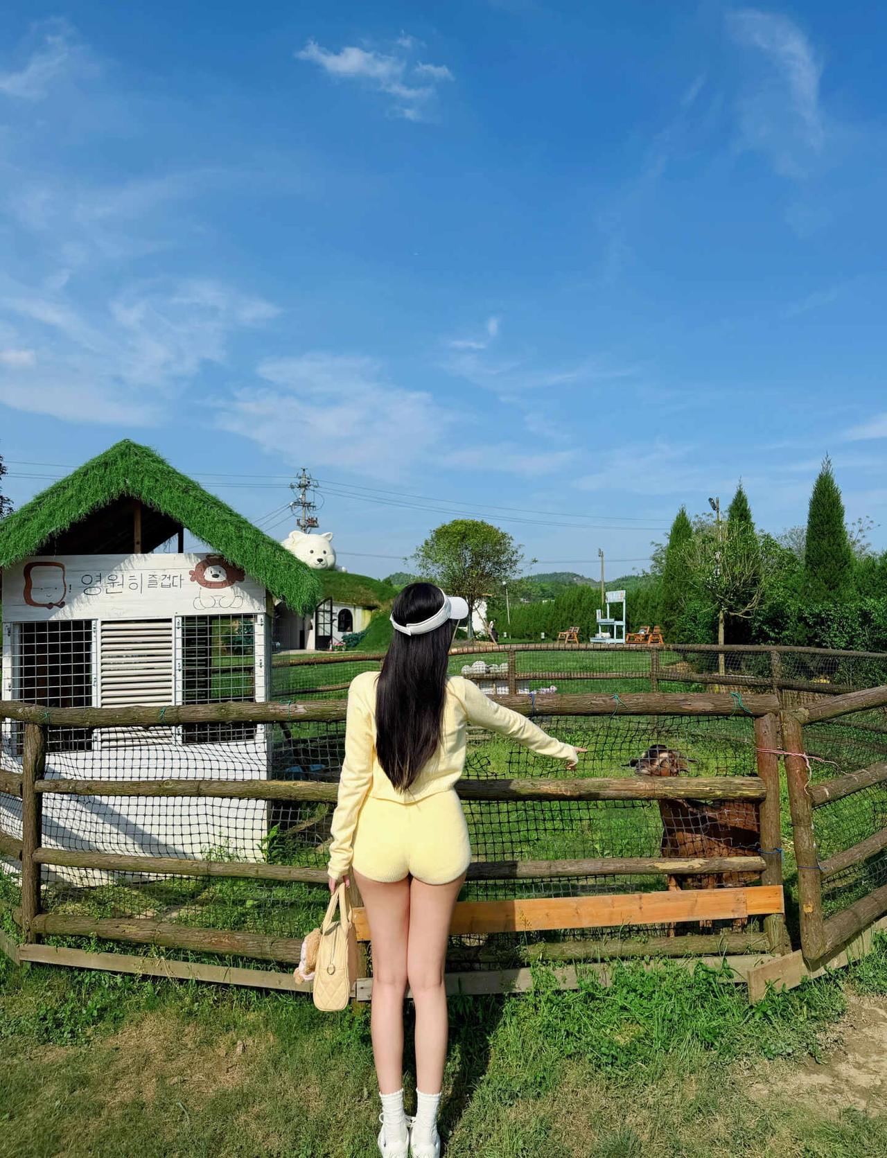 长沙终于是有太阳了
阳光明媚的下午 天气好的时候 这样好的阳光