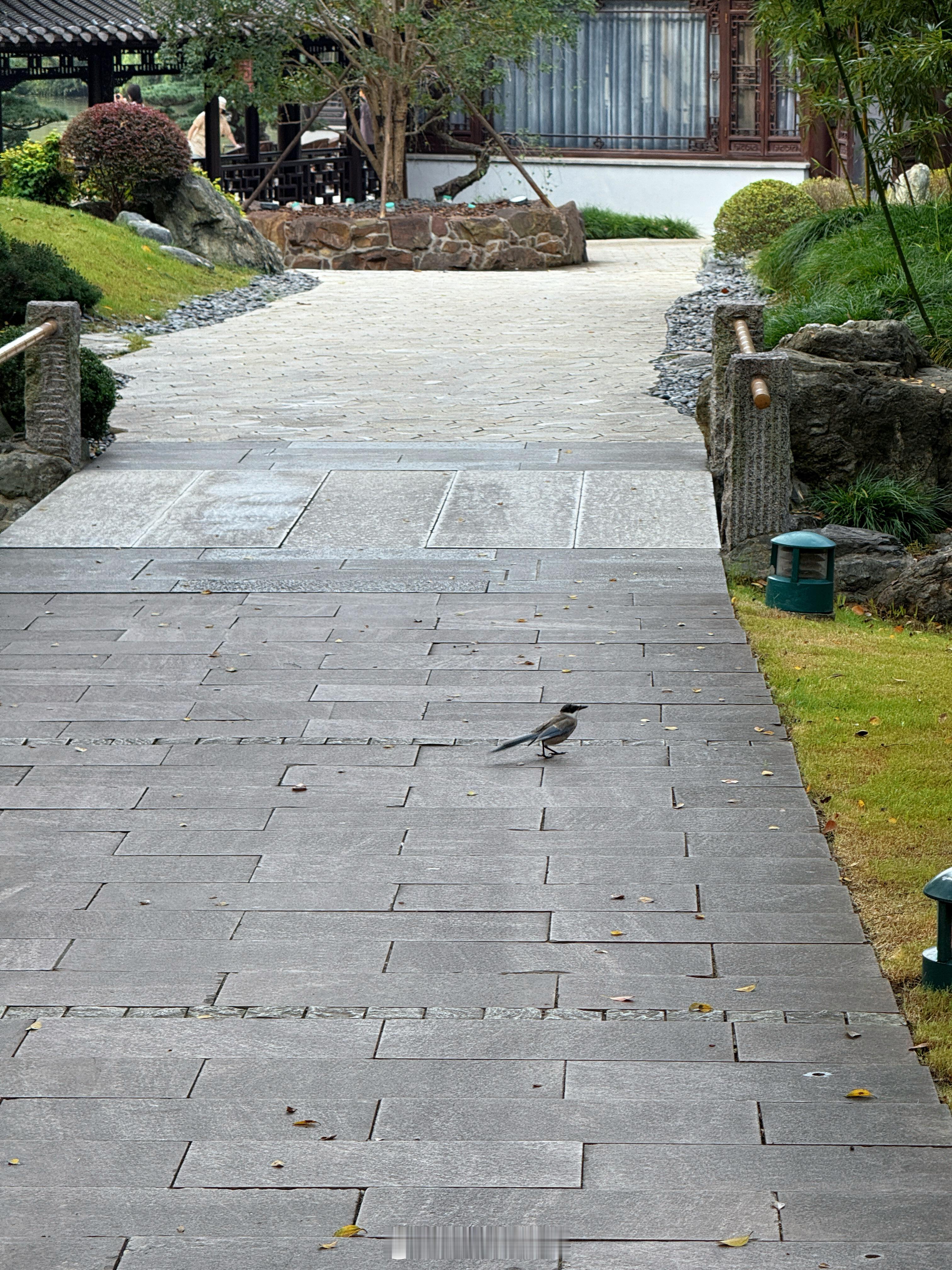 做有序的自己，等待万物更新… 