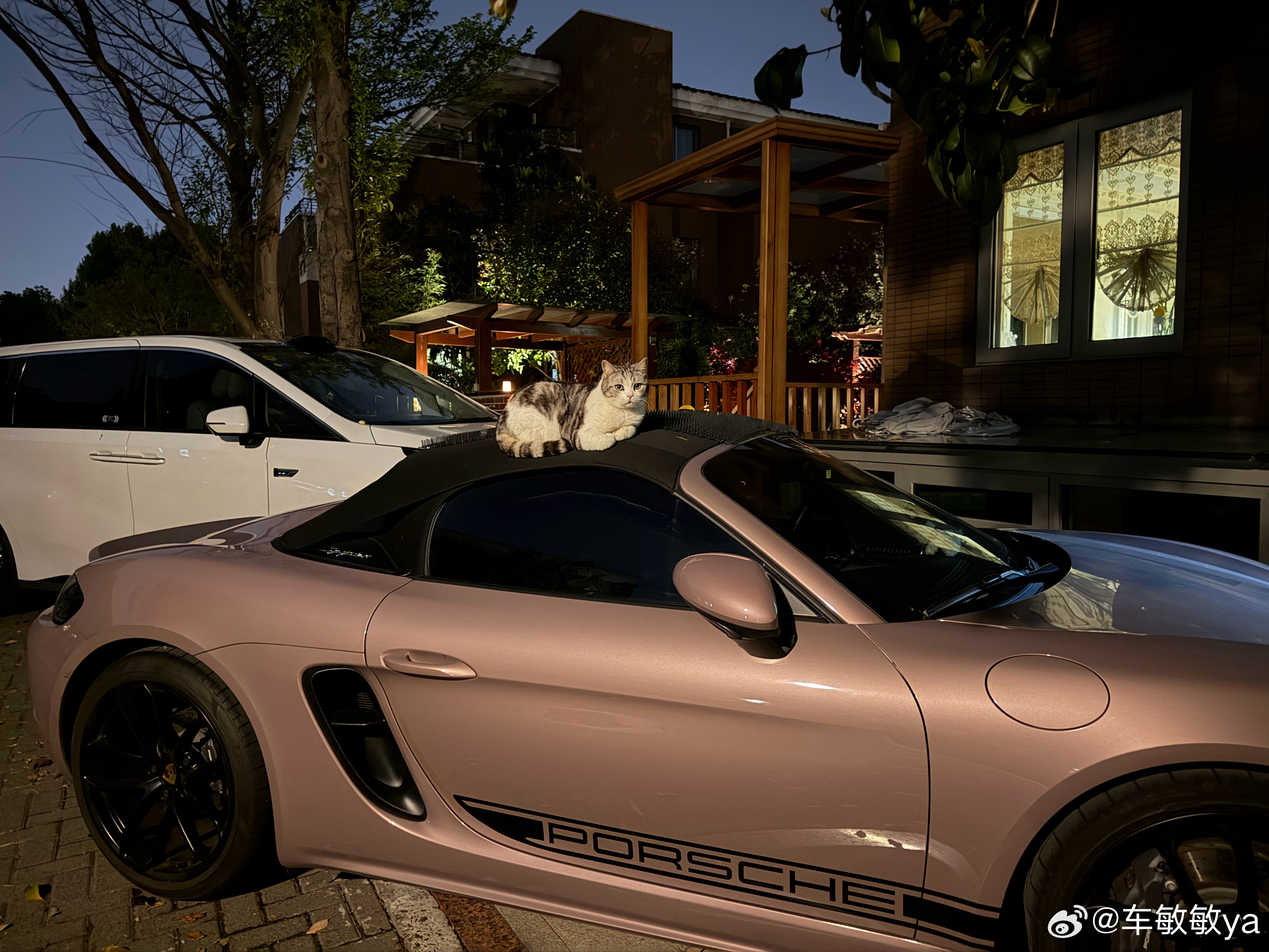 我的小保真的太会吸引猫猫了🐈但是别把我软顶棚当成猫抓板好吗 各位有妙招吗 