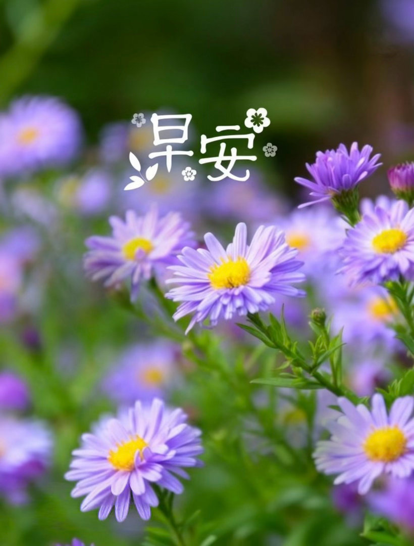 🍄🍃²º²⁶/₀₆.₁₈ ღº ✐ 🔆 ᴹᴼᴿᴺᴵᴺᴳ🦩阳光恰好，微风温