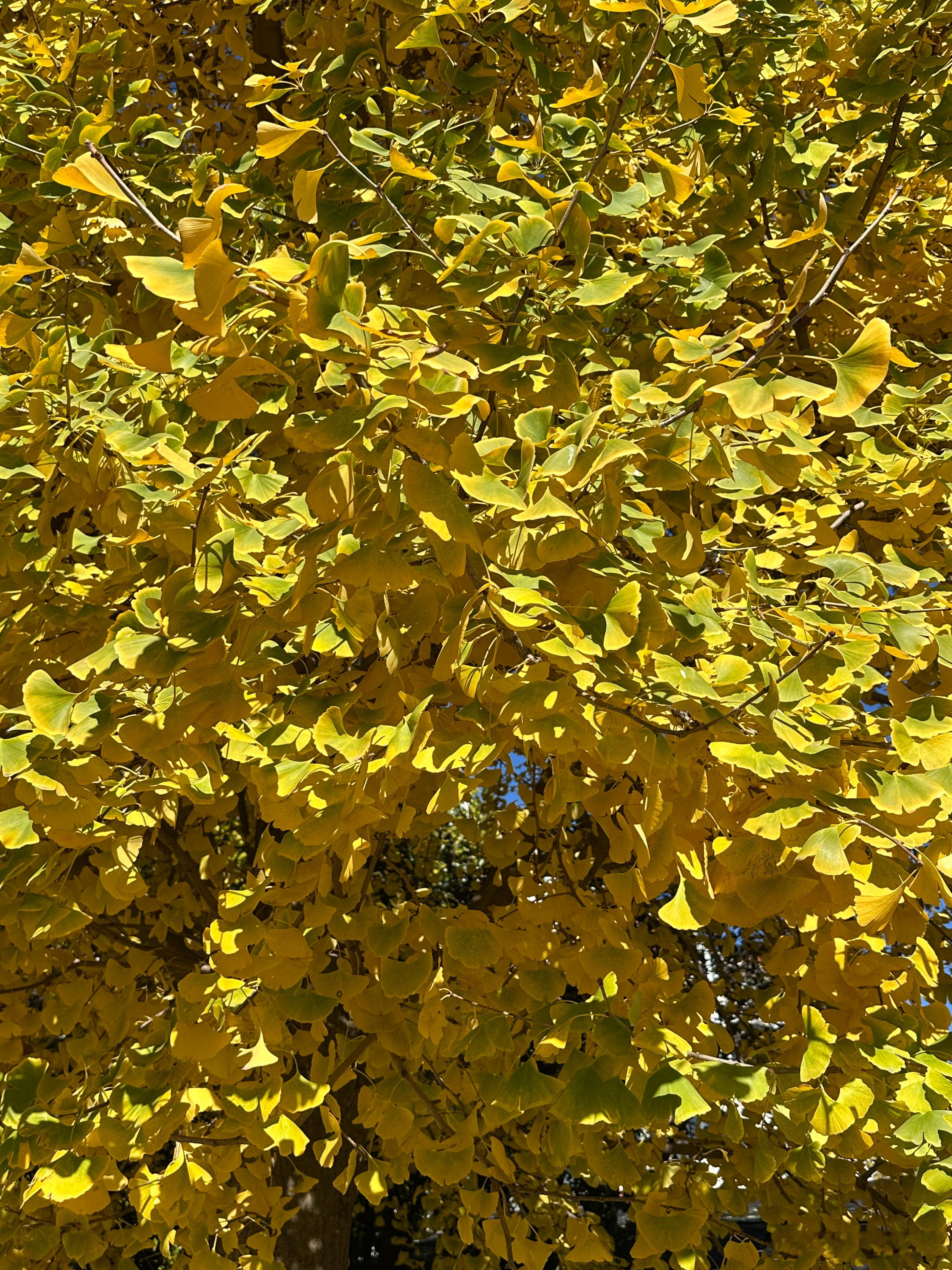 每日一善 阳光信用 善良是一种修养，善待他人就是善待自己，要想得到别人的爱，首先