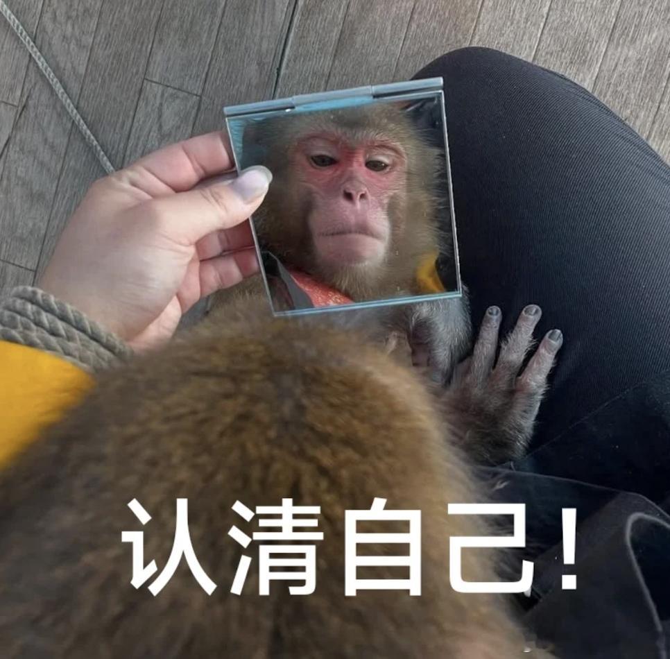 欧盟报复美国 欧盟与美国之间的属于典型的既在彼此的相互伤害但是谁又离不开谁的关系