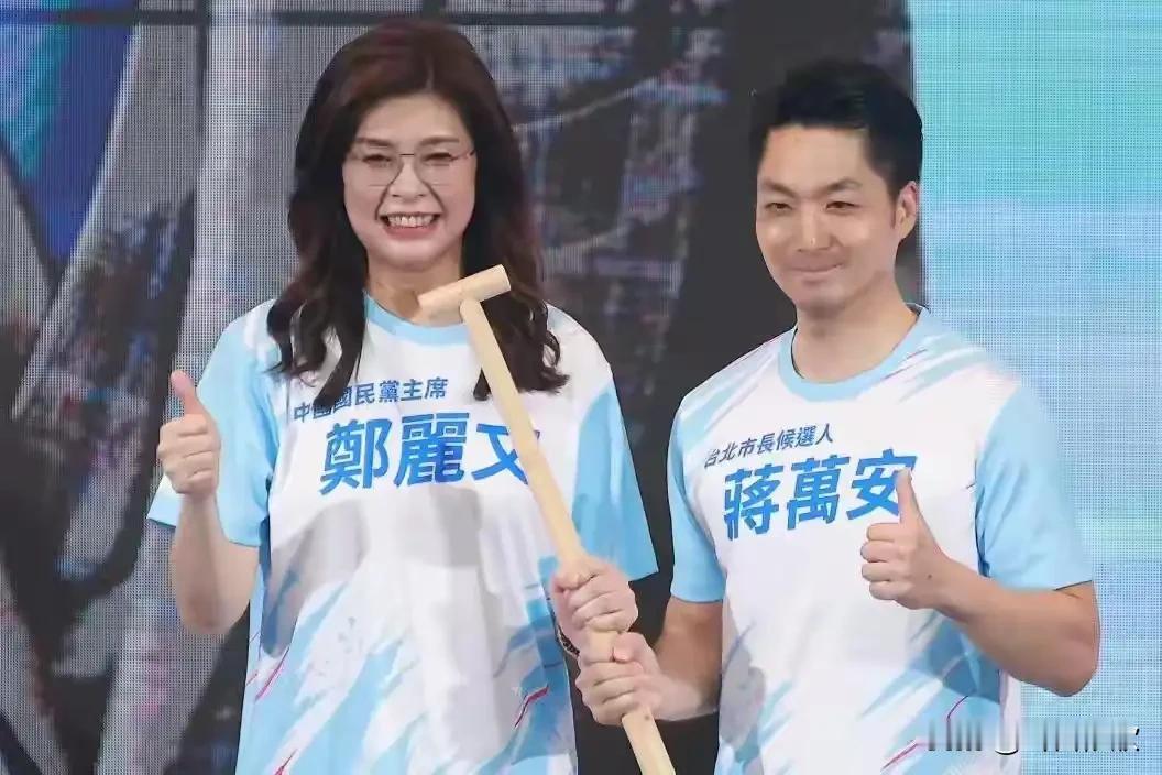 九合一选战，北新中桃四市抱团反绿，民进党大势彻底逆转
 
台北、新北、台中、桃园