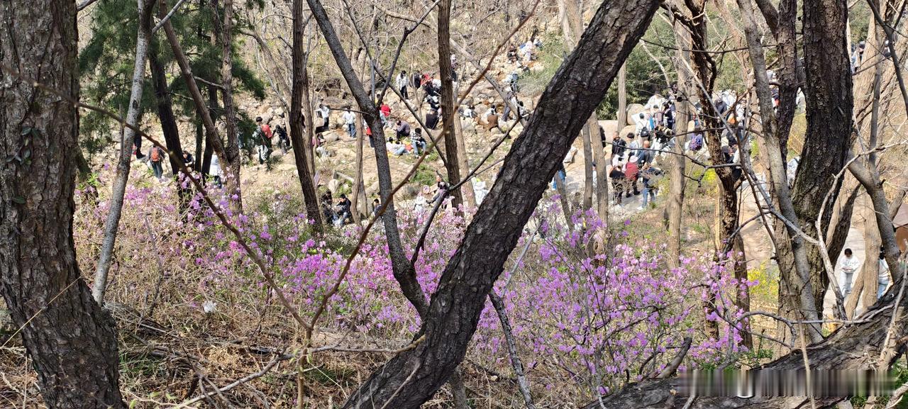 别拿“一技之长”骗自己了，你的手艺在老板眼里就是“好用还不贵”

昨天一个老读者