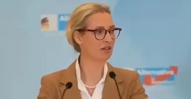 1月26日，德国选择党领袖爱丽丝·魏德尔称，“我可以明确告诉大家，待我们执掌政权