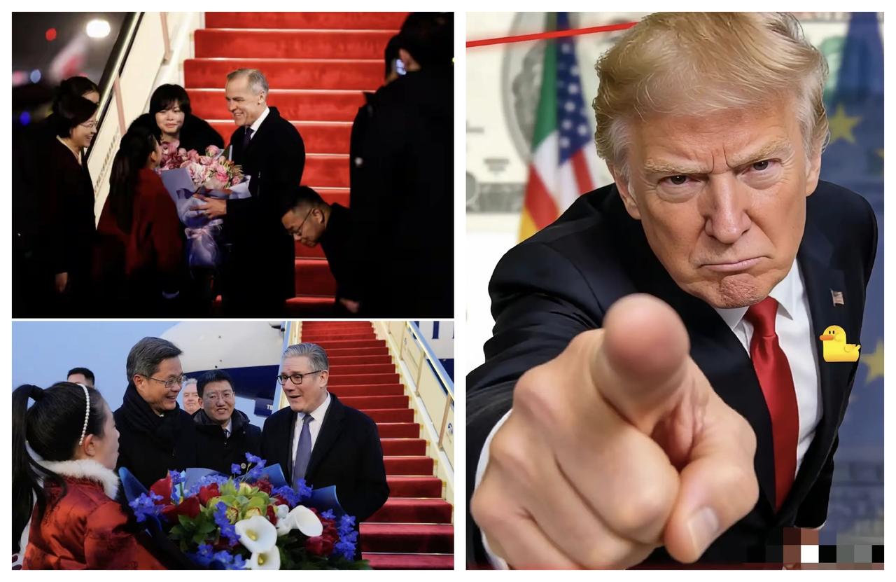 ✨特朗普：盟友同中国合作很危险✨

🐼 最近，加拿大和英国来访，合作谈的很好，