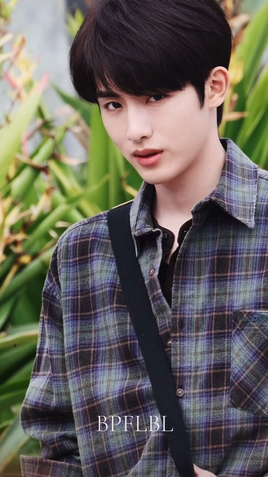 感觉隔着屏幕已经闻到陈砚周身上清爽的皂粉香气董思成格子衬衫路透