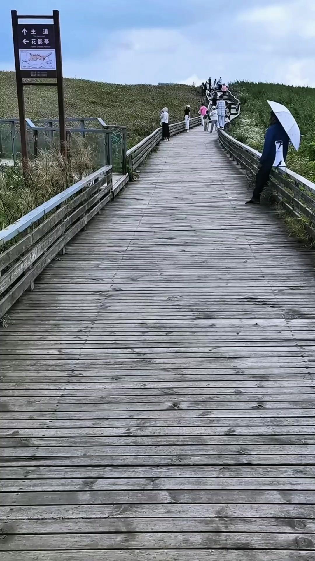 贵州屋脊真的美到失语！草原像一块铺在山顶的绿毯，一眼望不到边。栈道顺着山势蜿蜒，