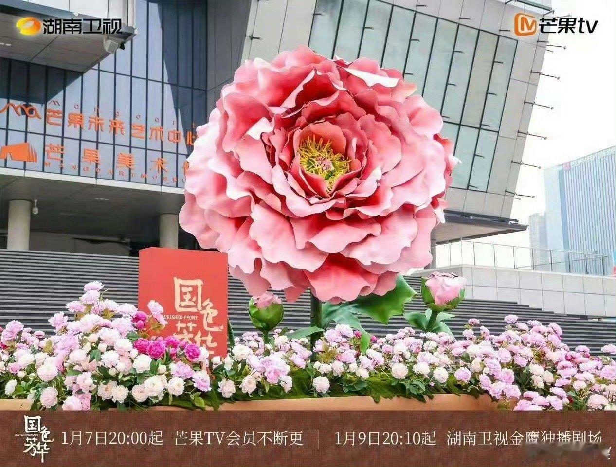 国色芳华播出排面 牡丹花、花路、云包场，太给力了好用心 